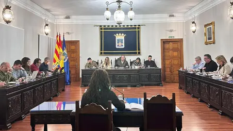 Un momento del pleno ordinario de enero