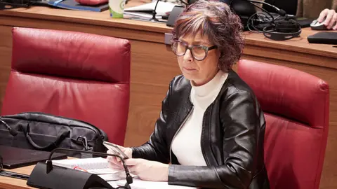 Consejera de Cultura, Deporte y Turismo, Rebeca Esnaola Bermejo  durante el pleno del Parlamento de Navarra, a 18 de enero de 2024, en Pamplona, Navarra, (Espa&ntilde;a).