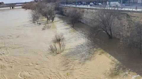 Vista del r&iacute;o Ebro este lunes 16 de febrero desde elpuente de Piedra de Zaragoza.