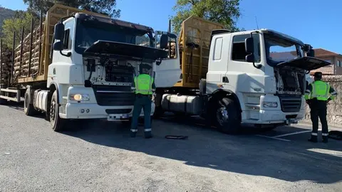 Camiones durante una campa&ntilde;a de inspecci&oacute;n de la DGT