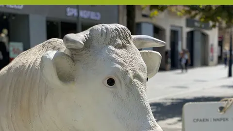 Exposici&oacute;n en Tudela de megafiguras &lsquo;Crecer en ecol&oacute;gico   Egin zaitez EKO&rsquo;