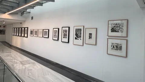 La muestra re&uacute;ne 80 obras que permiten recorrer su evoluci&oacute;n t&eacute;cnica y su aportaci&oacute;n decisiva a la gr&aacute;fica actual, marcada por el uso de la linograf&iacute;a como lenguaje pl&aacute;stico de alta potencia simb&oacute;lica y cr&iacute;tica