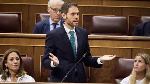 Archivo - El diputado del PP, Sergio Sayas, durante un pleno en el Congreso de los Diputados.