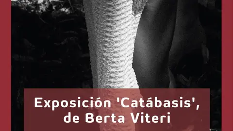 Exposici&oacute;n en Tudela &lsquo;Cat&aacute;basis&rsquo; de Berta Viteri