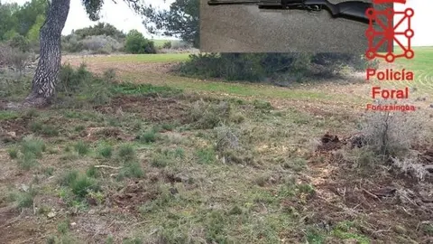 Detalle del cebadero y de la carabina, motivo de las dos intervenciones de la Brigada de Protecci&oacute;n Medioambiental.