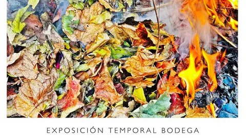 Exposici&oacute;n en Tudela &lsquo;Momentos&rsquo; de &Aacute;ngel Cornago