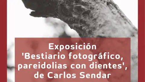 Exposici&oacute;n en Tudela &lsquo;Bestiario fotogr&aacute;fico&rsquo; de Carlos Sendar
