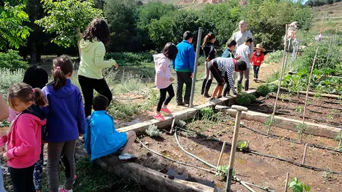 huerto2