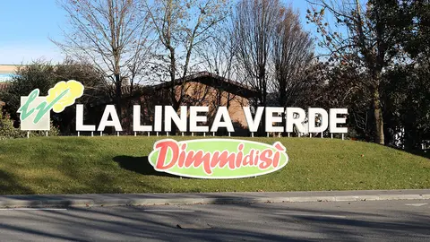 Oficinas-centrales-de-La-L&iacute;nea-Verde