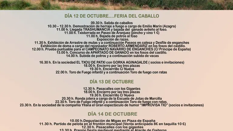 Ferias de Marcilla 2017