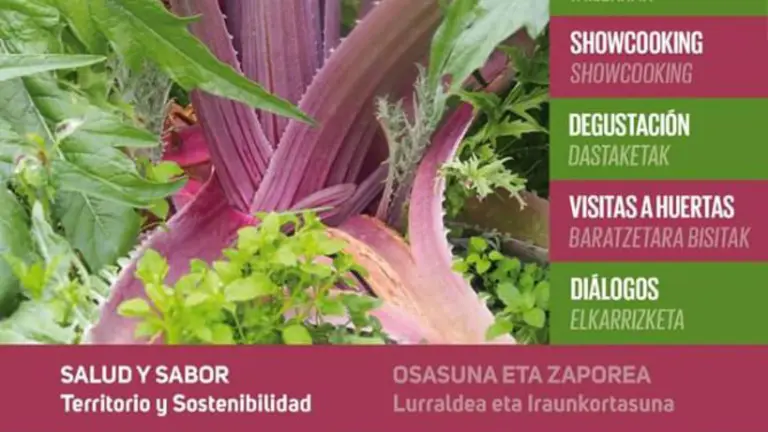 La semana de Las verduras del hielo en Pamplona y Tudela