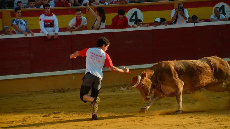 Vaquillas Tudela, d&iacute;a 30 - 5