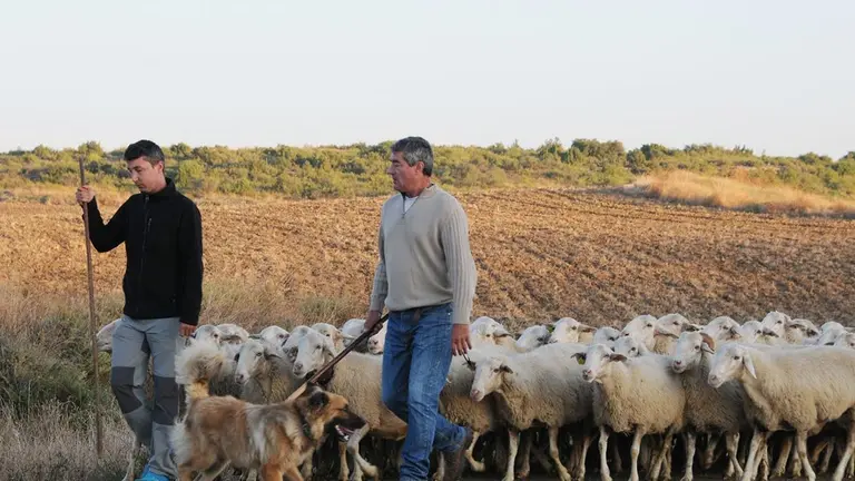 VI Fiesta de los Usos Tradicionales de la Trashumancia en Bardenas en Carcastillo 2018 - 11