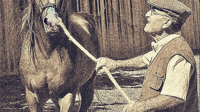 Feria del caballo y medieval de Marcilla