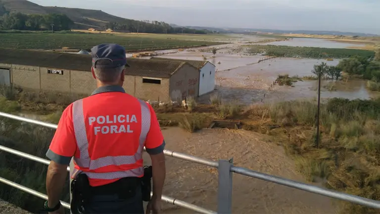 Polic&iacute;a Foral