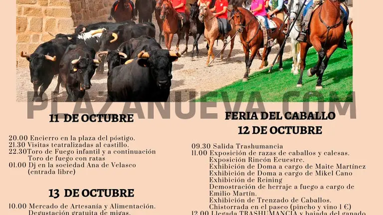 Ferias de Marcilla 2019