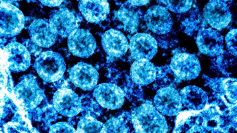 Coronavirus