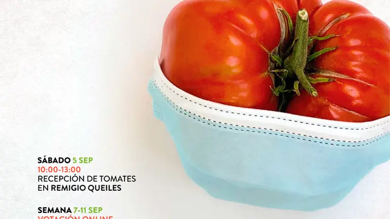 XIII Concurso de tomate Feo de Tudela