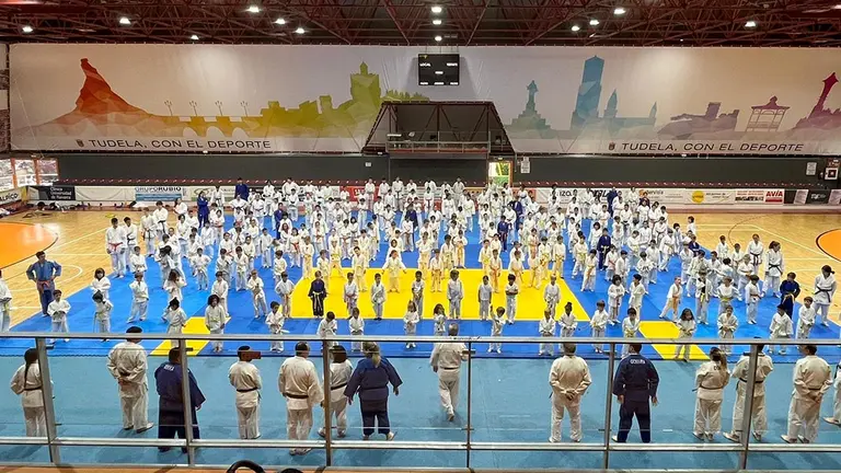Gimnasio Shogun 45 aniversario Equipo Judo 2