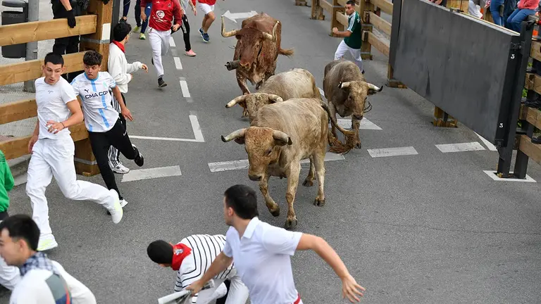 Encierro de Tudela d&iacute;a 30 2025 14