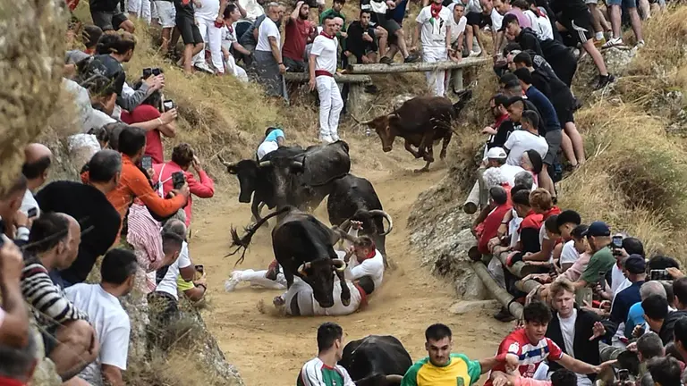 Fiestas de Falces 2025 Encierro del Pil&oacute;n d&iacute;a 19 8