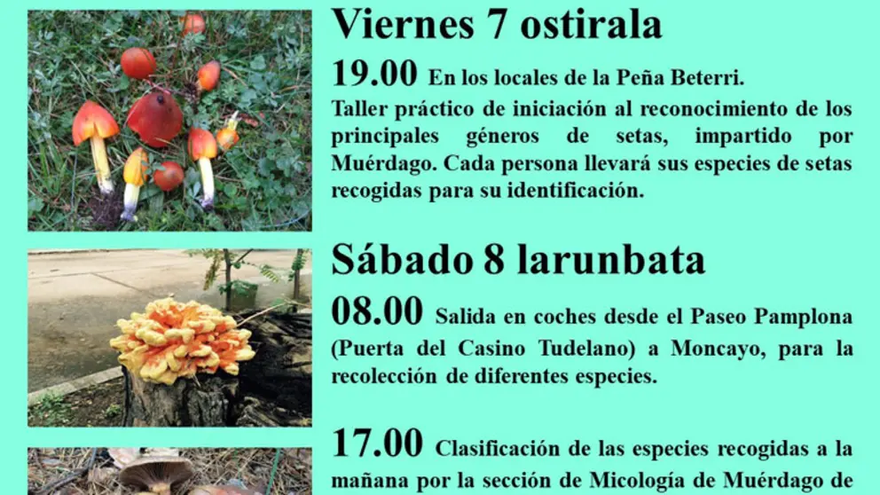 XXVI Jornadas Micol&oacute;gicas de la Pe&ntilde;a Beterri en Tudela 2025