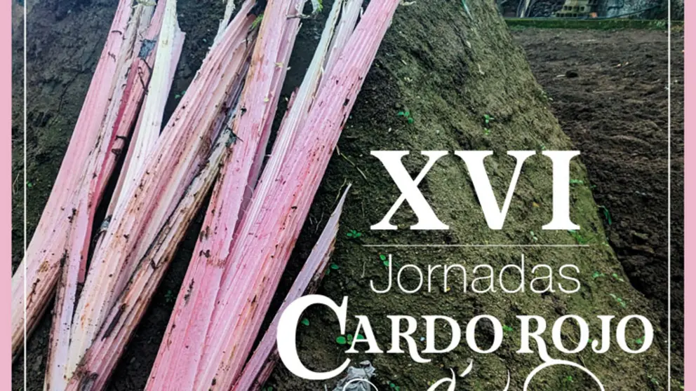XVI Jornadas del Cardo Rojo en &Aacute;greda 2025
