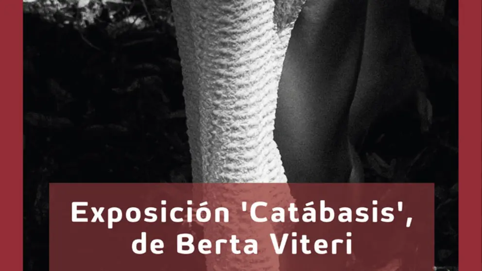 Exposici&oacute;n en Tudela &lsquo;Cat&aacute;basis&rsquo; de Berta Viteri