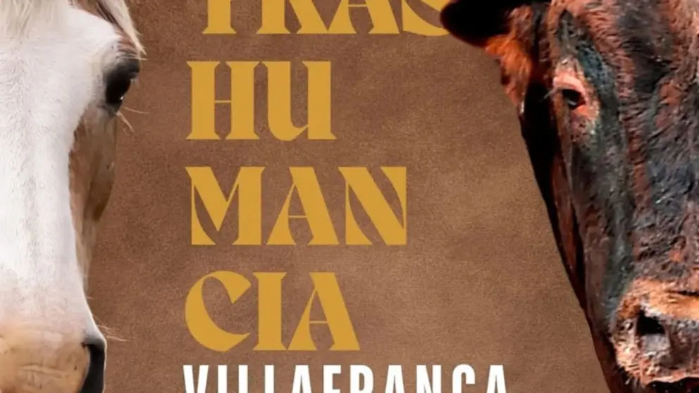 V Trashumancia de Villafranca 2026