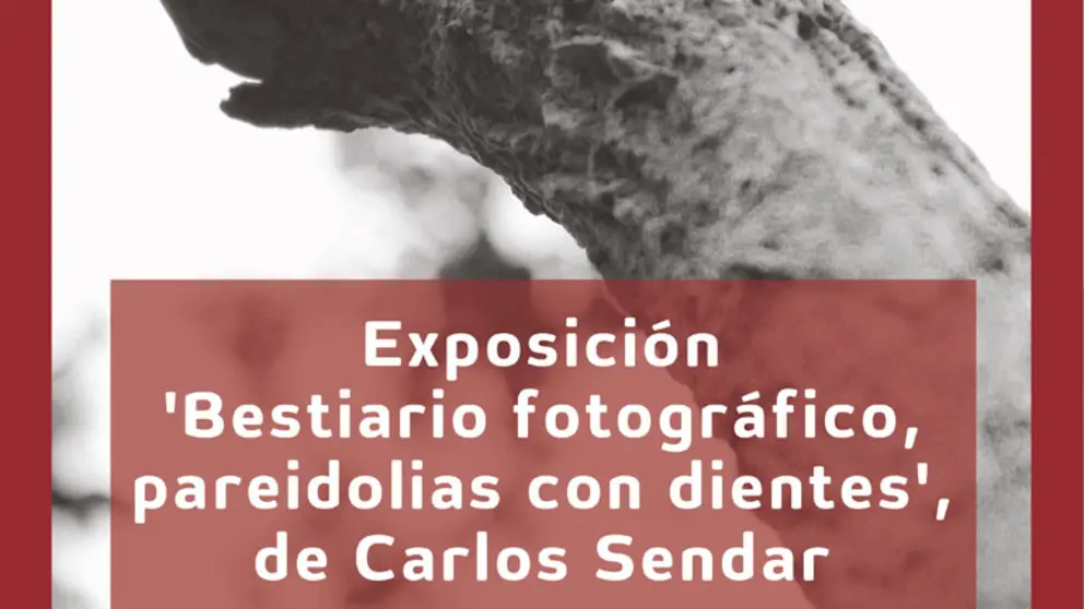 Exposici&oacute;n en Tudela &lsquo;Bestiario fotogr&aacute;fico&rsquo; de Carlos Sendar