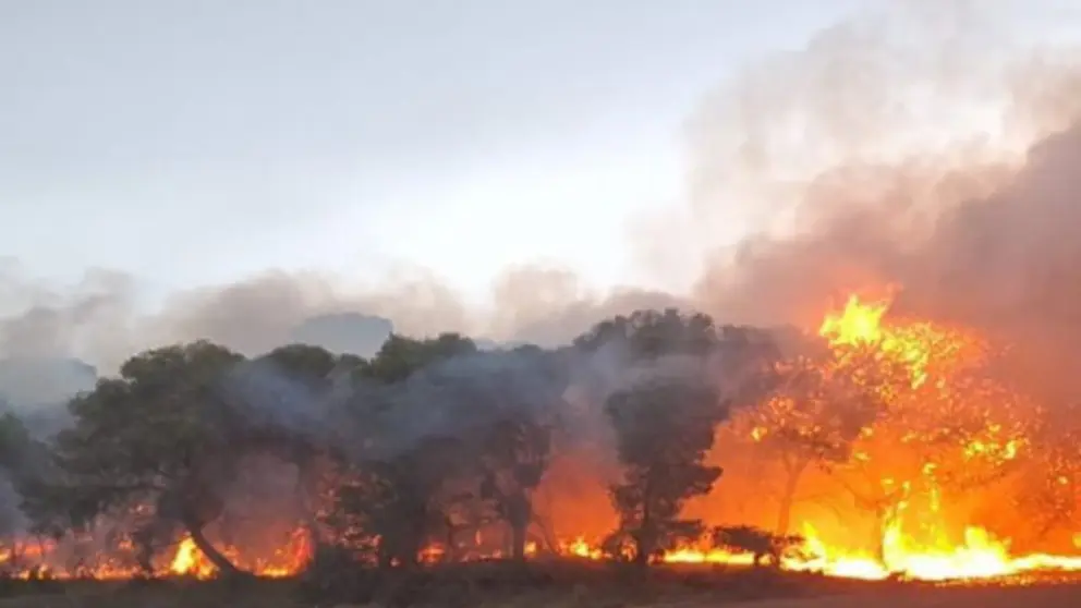 Incendio de arbolado en el embalse El Ferial, en las Bardenas.