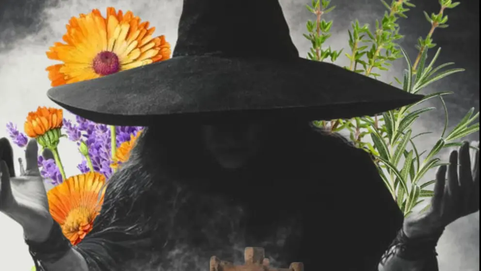 XXIV Feria de Brujer&iacute;a, Magia y Plantas Medicinales del Moncayo en Trasmoz 2026