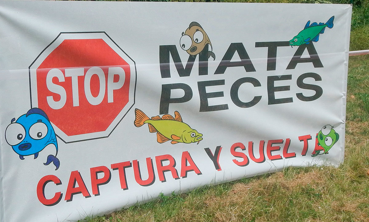 pancarta
