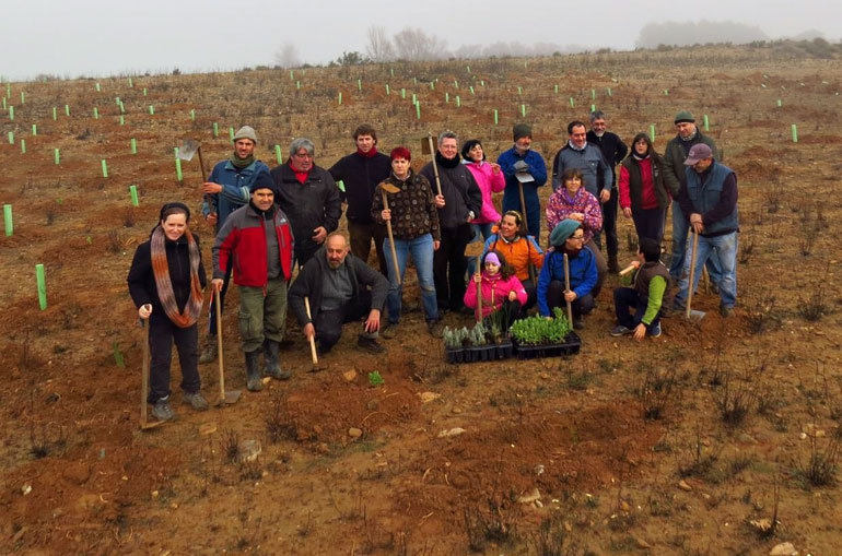Imagen de la plantación realizada en el año 2016
