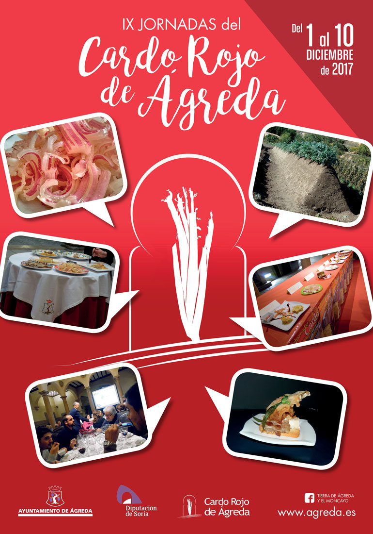 IX Jornadas del Cardo Rojo de Ágreda