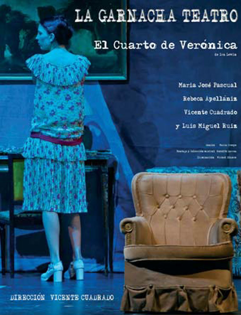 VIII Festival de Teatro del Tercer Sector 6