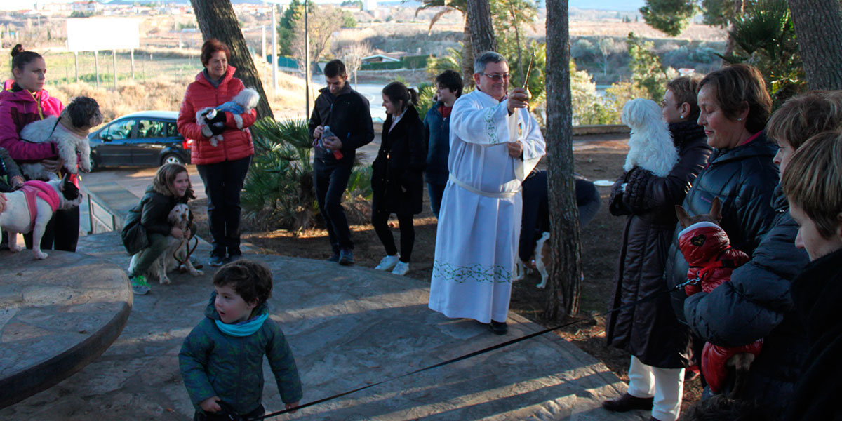 Bendición-San-Antón-011