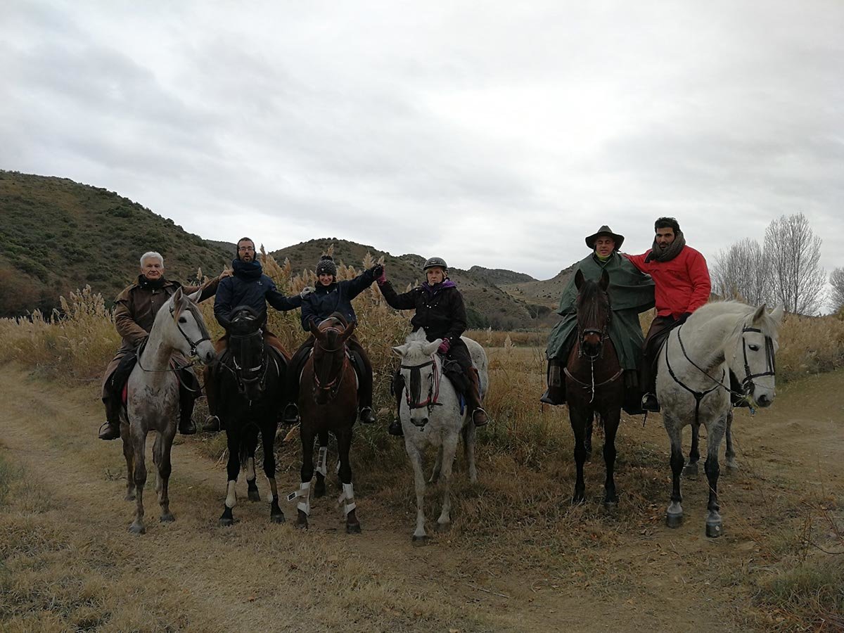 Paseos a caballo
