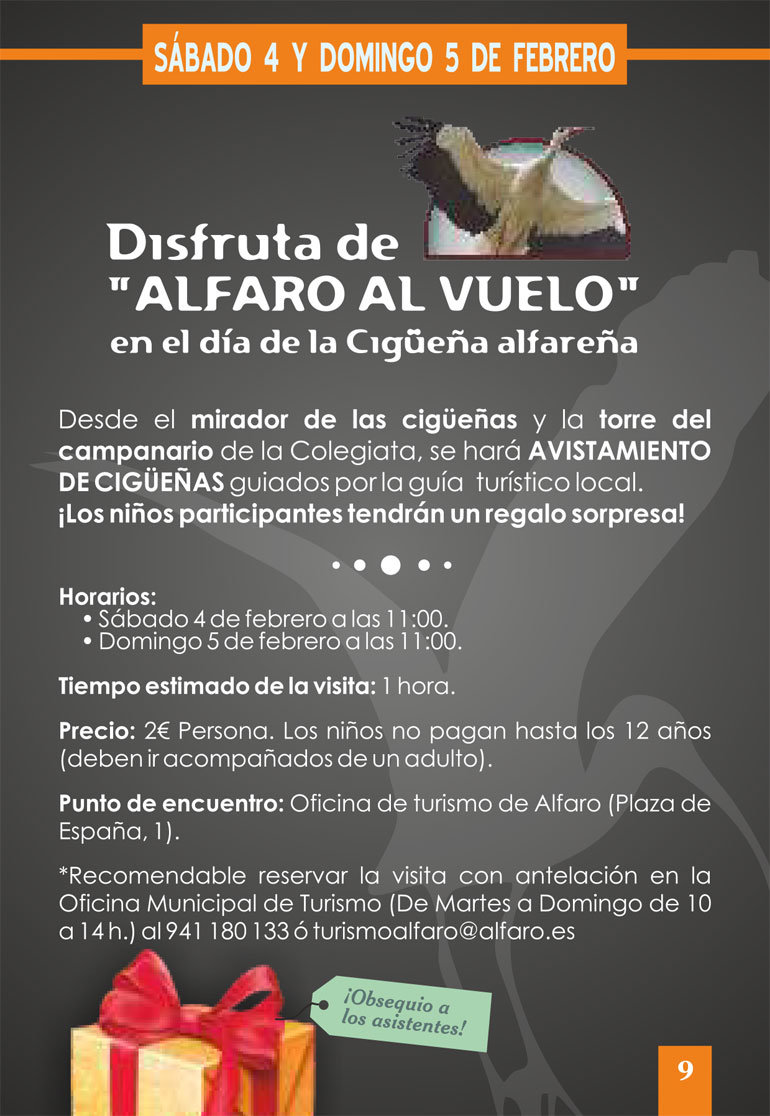 Visita guiada Alfaro al Vuelo