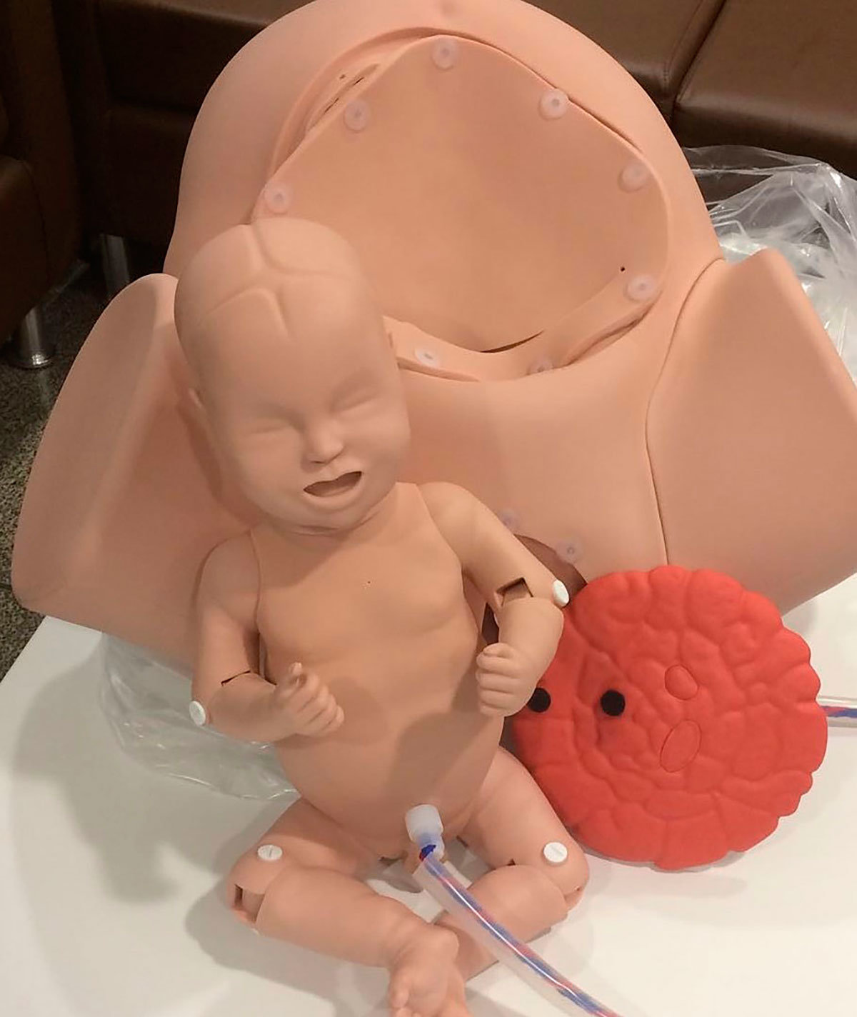 Muñeco con el que se realizan las prácticas