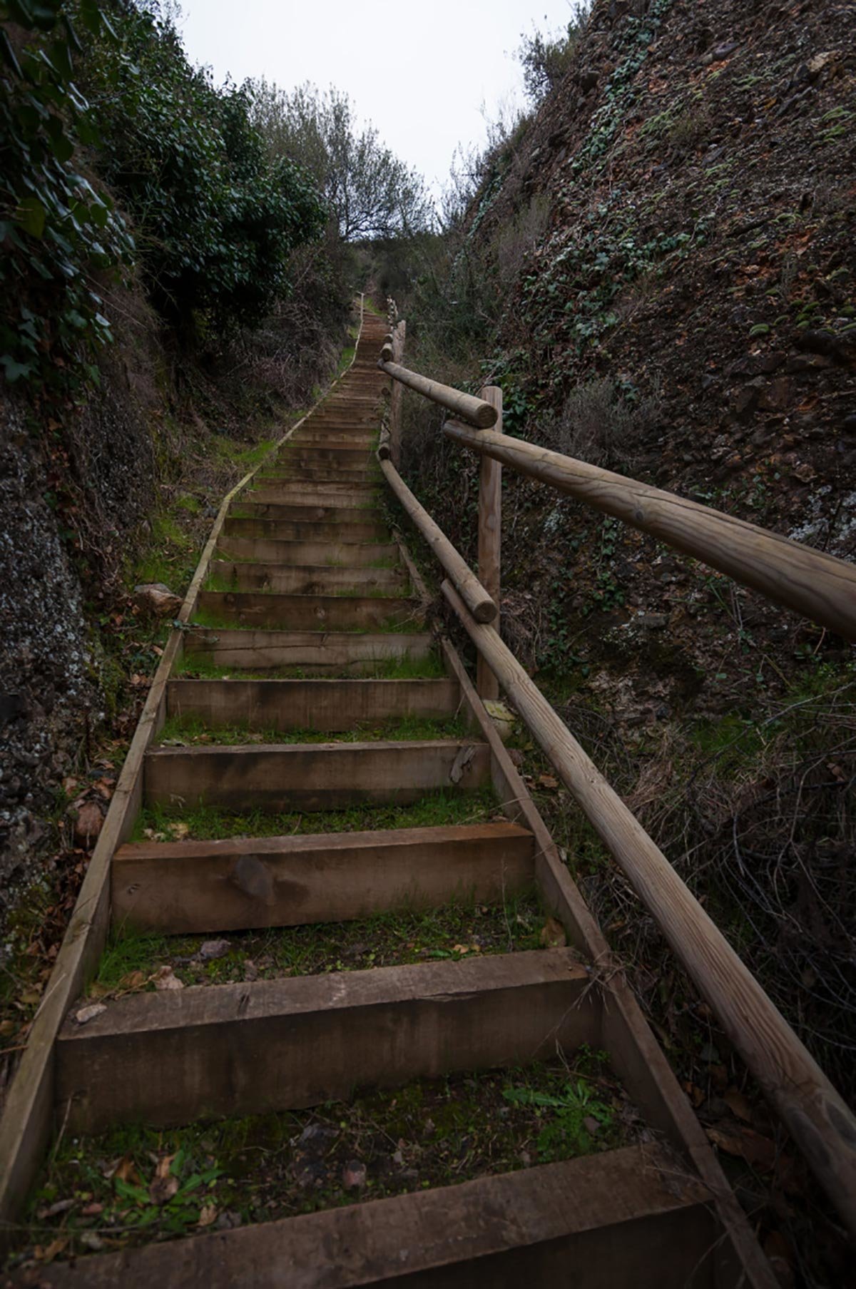 Escalones para subir al mirador de Los Fayos