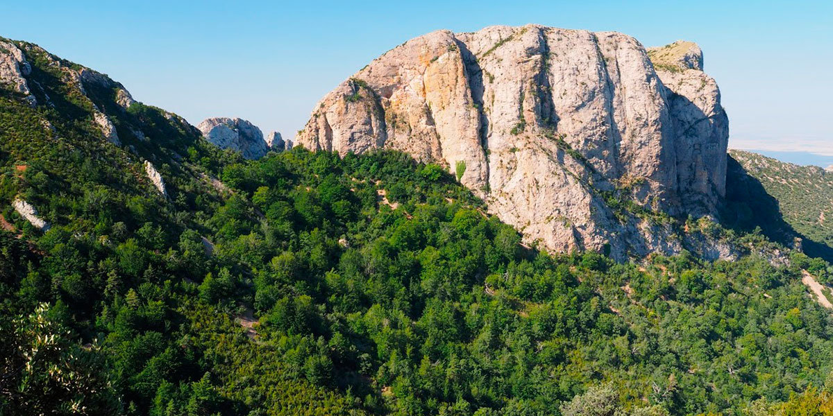 Hayedo-del-Pico-del-Mediodía-Fotografía-de-Emili-Martínez