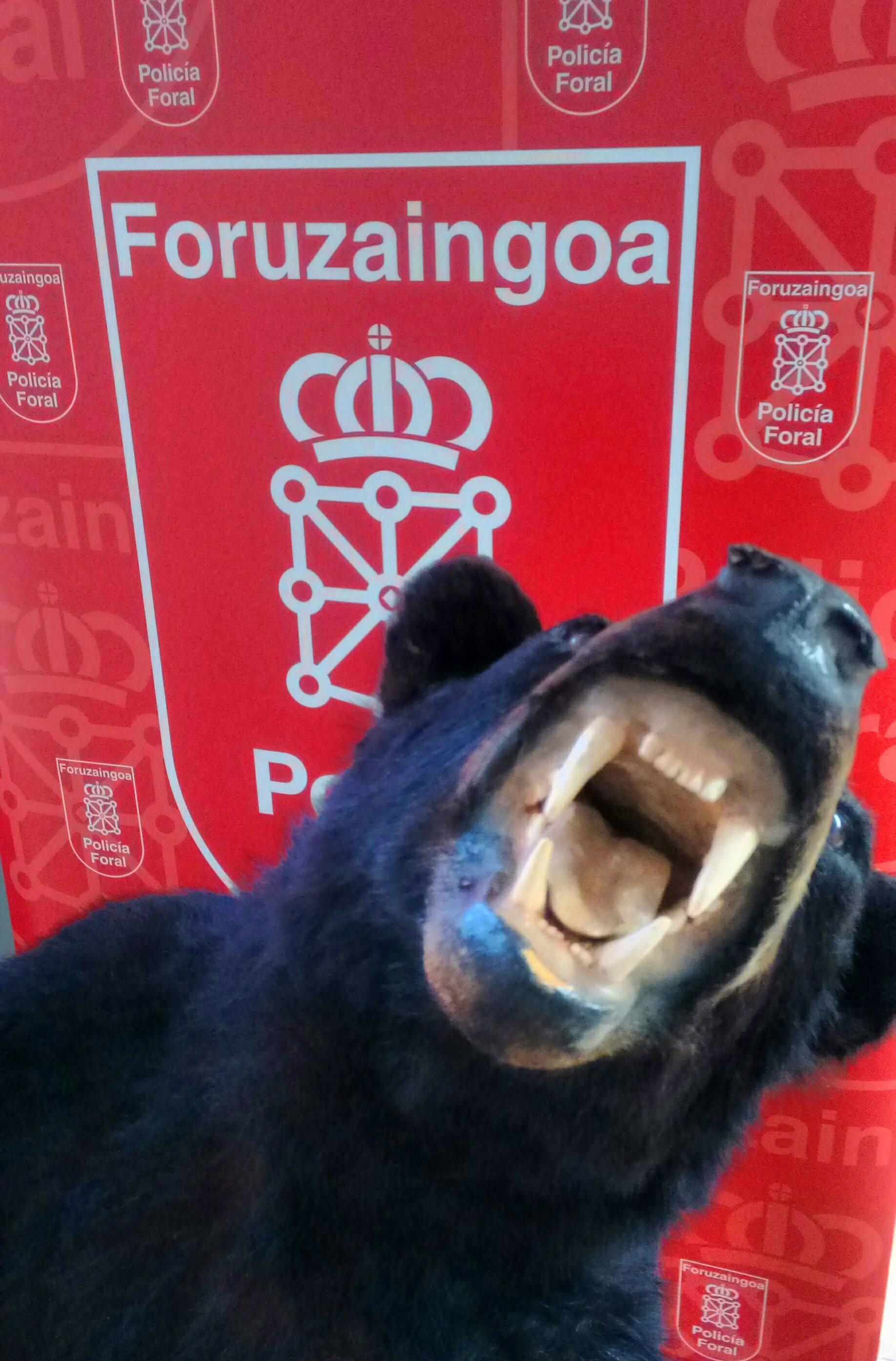 Osofondo
