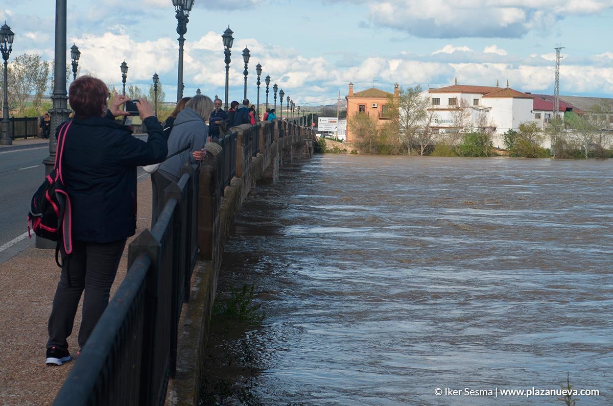 Crecida del Ebro (Tudela, 12-04-2018) - 10