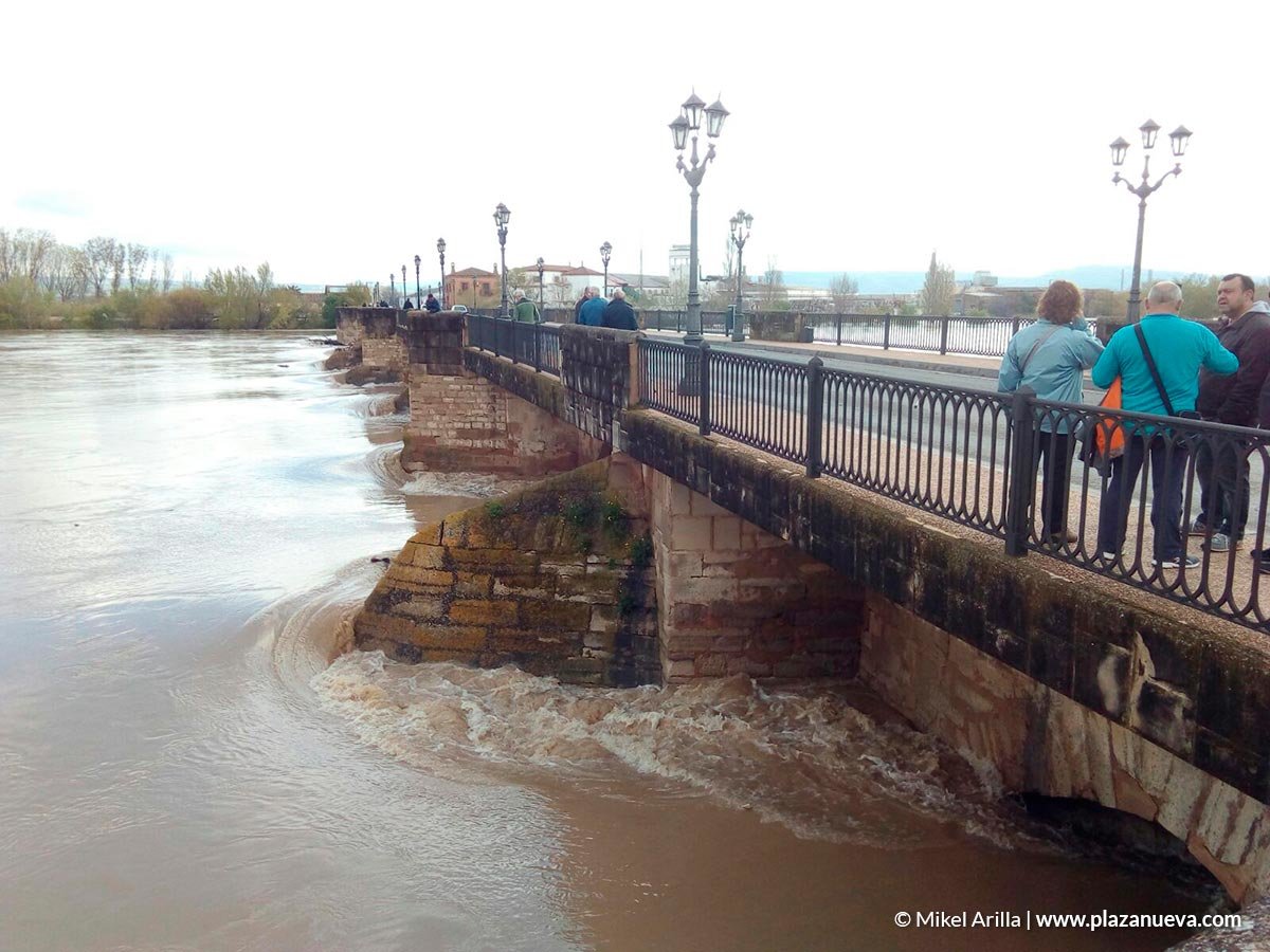 Crecida del Ebro (Tudela, 13-04-2018 a las 11 horas) - 2