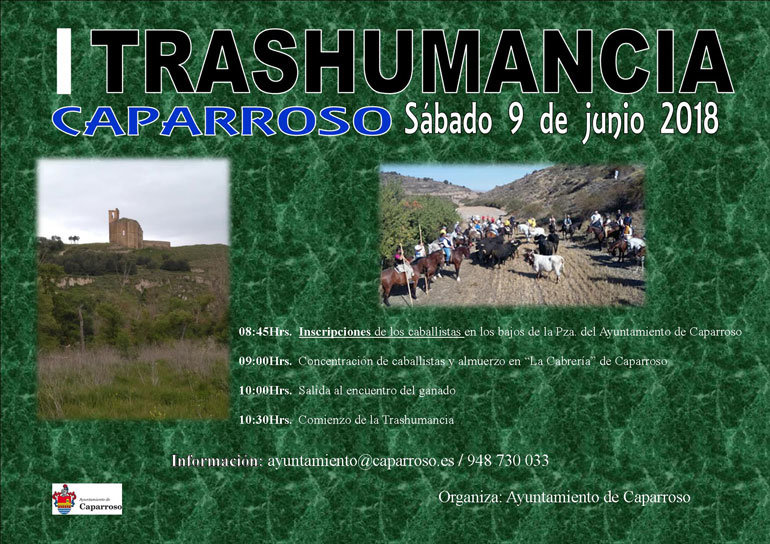 Día Caparroso Rural transhumancia