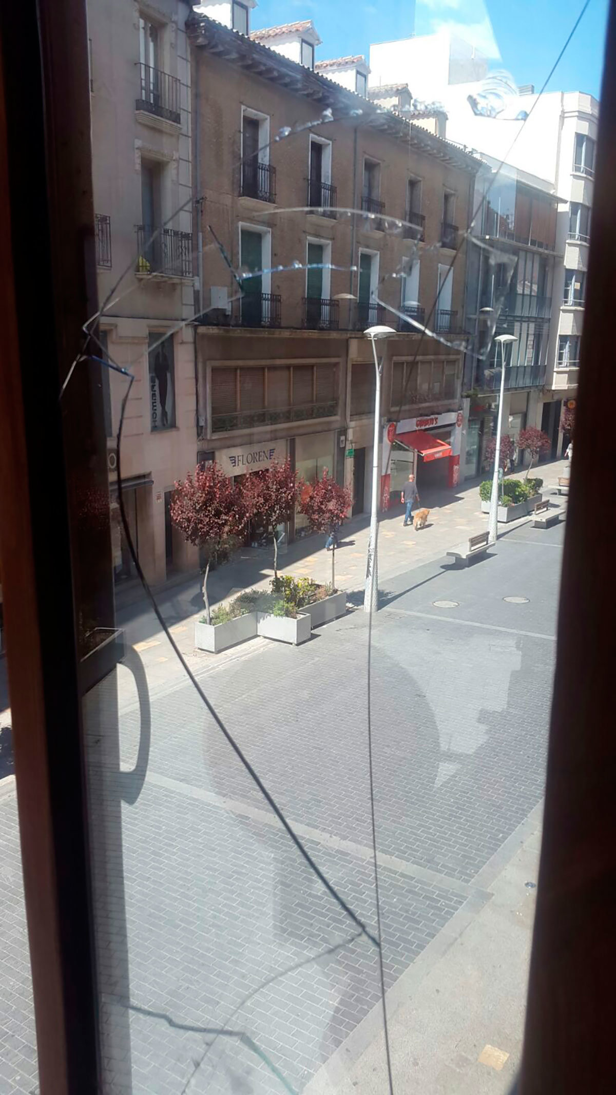 Ruptura de un cristal en la sede del PPN en Tudela
