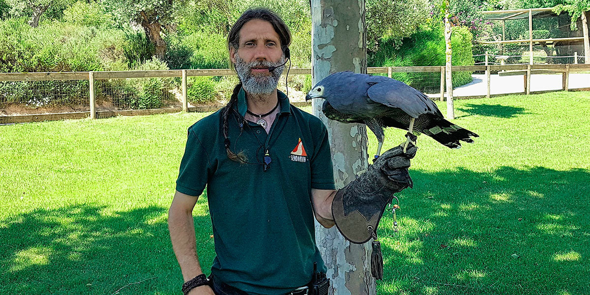 Pablo-Bracamonte-con-el-aguilucho-caricalvo-(Sendaviva)