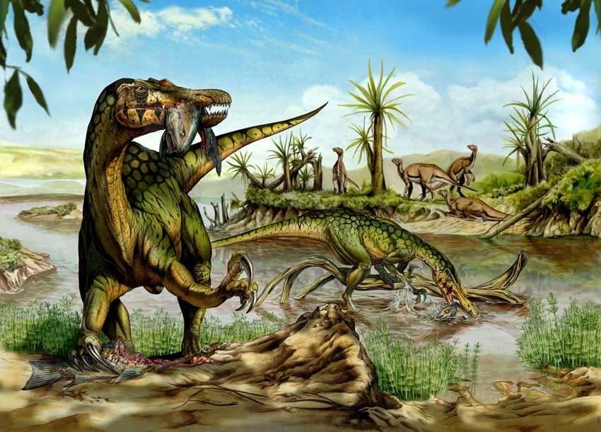 Ilustracion dinosaurios