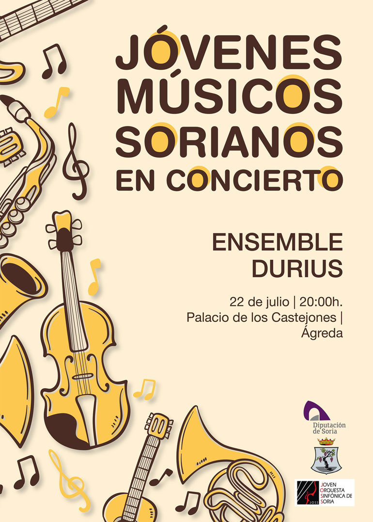 Jóvenes músicos sorianos en concierto